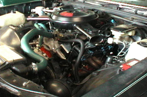 engine_in_monte.jpg (77263 bytes)